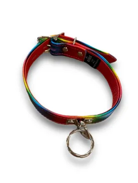 Rainbow Leather Collar